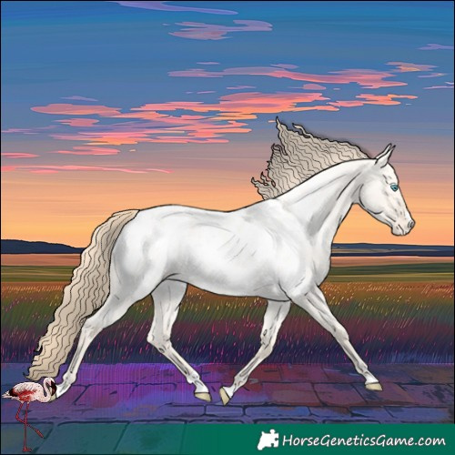 Horse Color:Perlino Roan Dun Near Leopard 