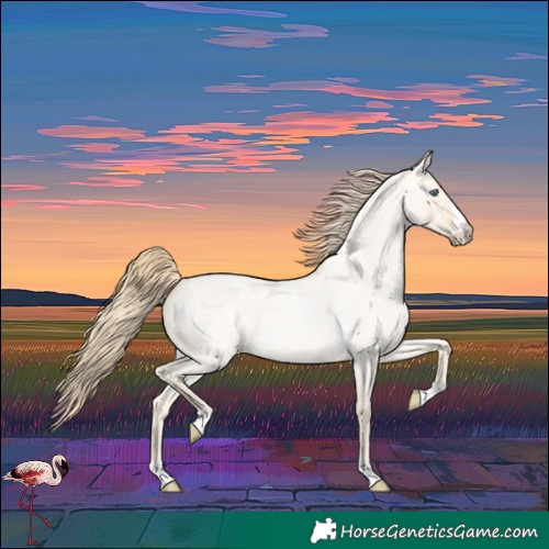 Horse Color:Perlino Roan Dun 