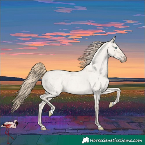 Horse Color:Smoky Creme Roan Dun 