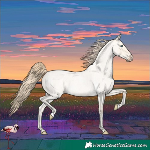 Horse Color:Perlino Roan Dun 