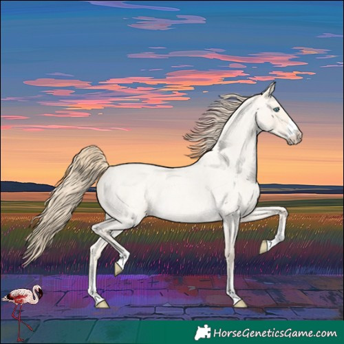 Horse Color:Perlino Roan Dun 