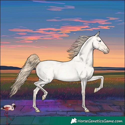 Horse Color:Perlino Roan Dun 