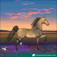 Horse Color:Buckskin