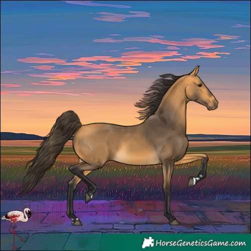 Horse Color:Buckskin Rabicano