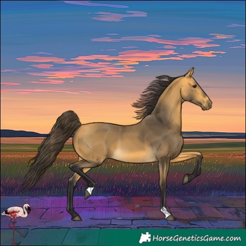 Horse Color:Buckskin