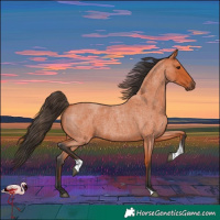 Horse Color:Bay Roan Tobiano