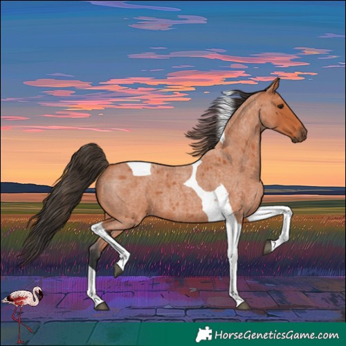 Horse Color:Bay Roan Tobiano 