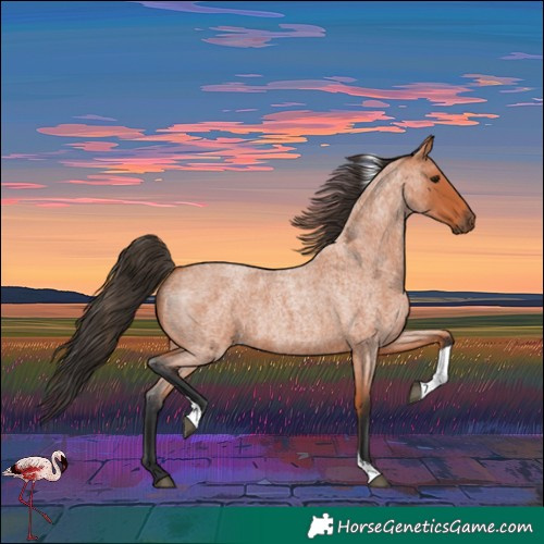Horse Color:Bay Roan Tobiano