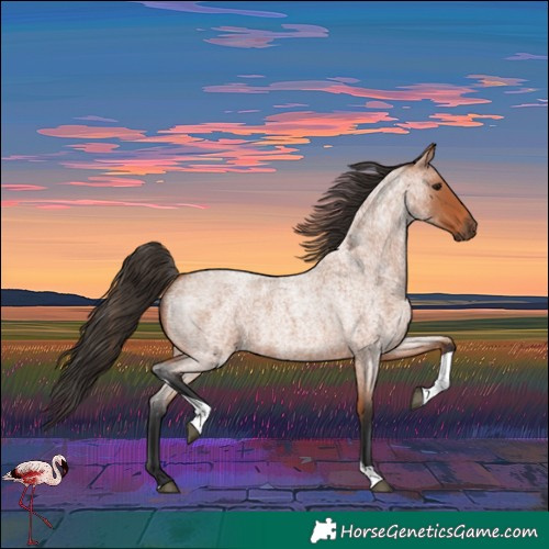 Horse Color:Bay Roan Tobiano