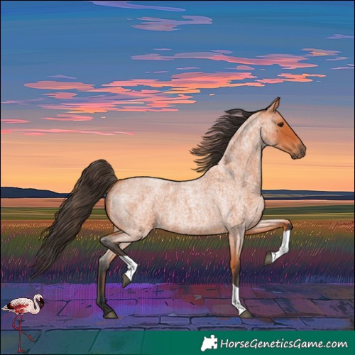Horse Color:Bay Roan Tobiano