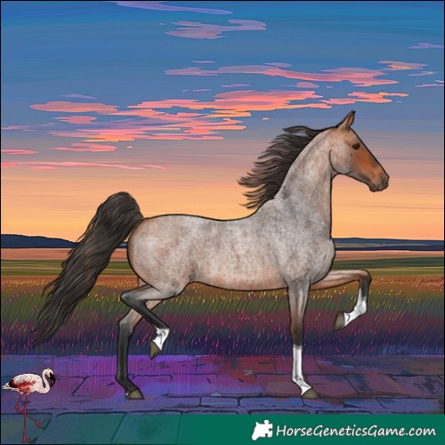 Horse Color:Bay Roan Tobiano 