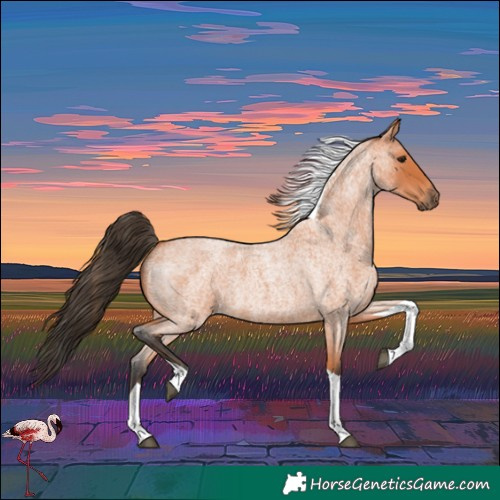 Horse Color:Bay Roan Tobiano 