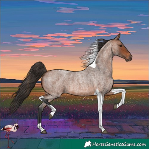 Horse Color:Bay Roan Tobiano