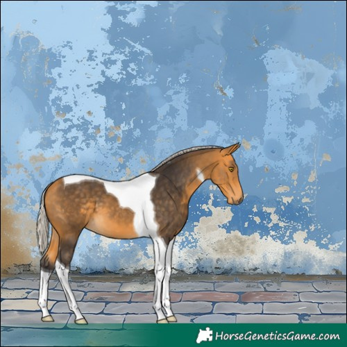 Horse Color:Silver Buckskin Tobiano