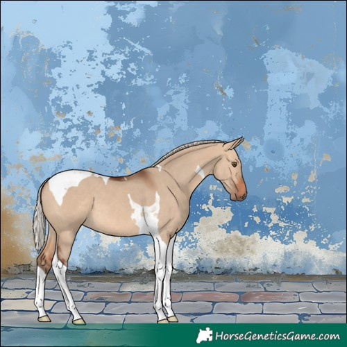Horse Color:Silver Brown Dun Tobiano