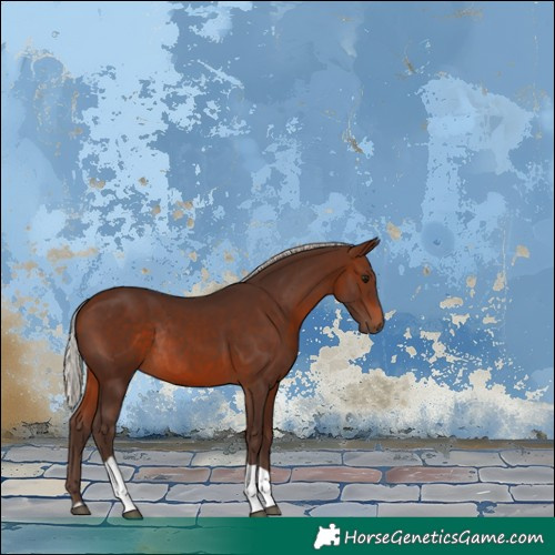Horse Color:Silver Brown Tobiano Rabicano