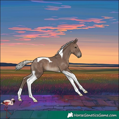 Horse Color:Silver Black Tobiano Rabicano