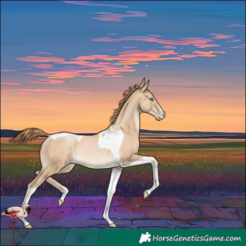 Horse Color:Smoky Black Pearl Tobiano Rabicano