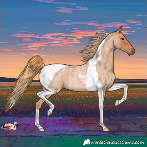 Horse Color:Red Roan Tobiano Rabicano