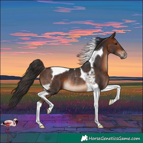 Horse Color:Bay Tobiano Rabicano 