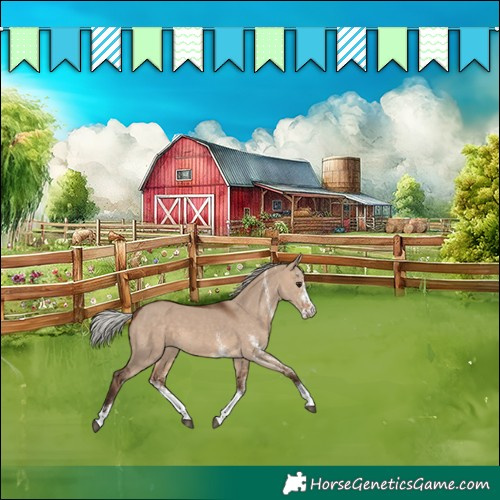 Horse Color:White Spotted Silver Brown Dun