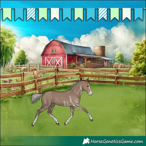 Horse Color:White Spotted Silver Grullo