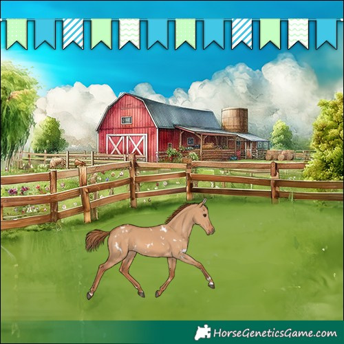 Horse Color:White Spotted Red Dun Rabicano 