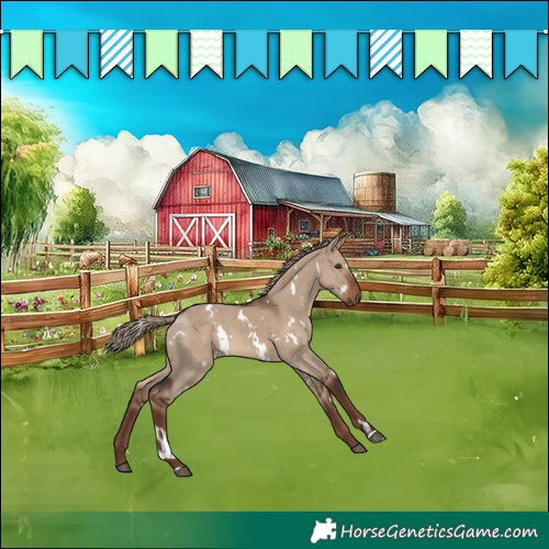 Horse Color:White Spotted Liver Red Dun