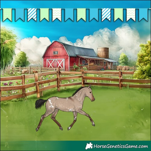 Horse Color:White Spotted Liver Red Dun 