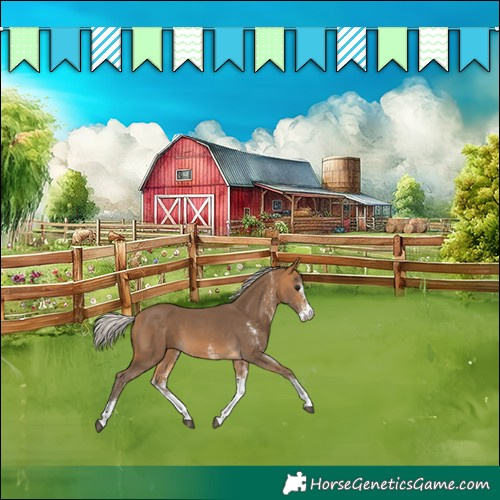 Horse Color:White Spotted Silver Buckskin