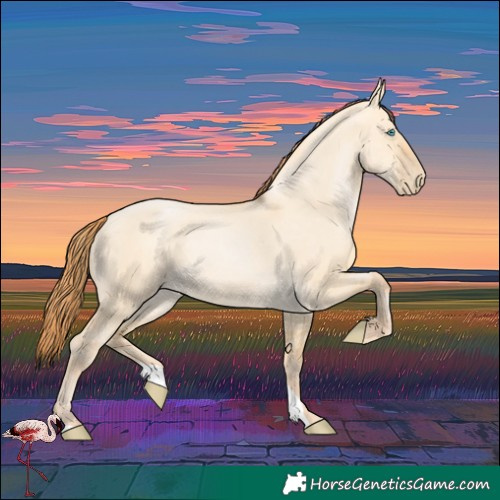 Horse Color:Buckskin Pearl Dun 