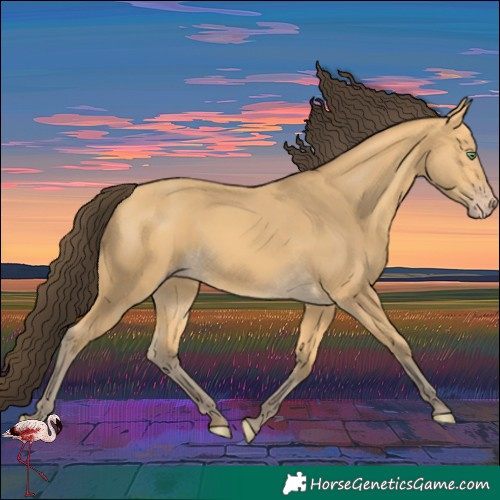 Horse Color:Amber Cream Champagne