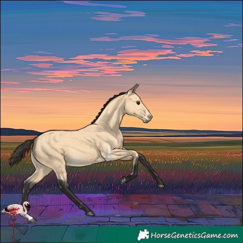 Horse Color:Buckskin