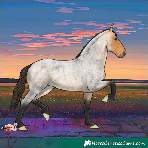 Horse Color:Buckskin Roan 