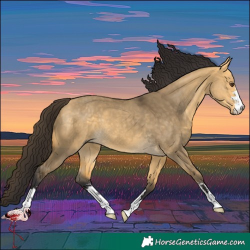 Horse Color:Buckskin Dun