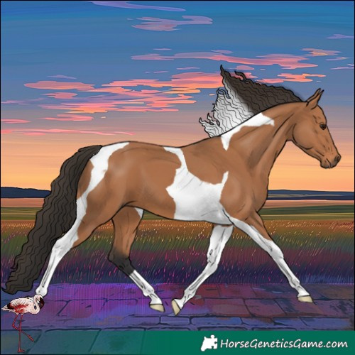 Horse Color:Bay Tobiano