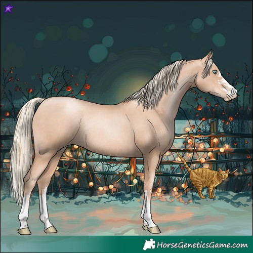 Horse Color:Gold Champagne Pearl Rabicano and Gold Champagne Pearl Rabicano