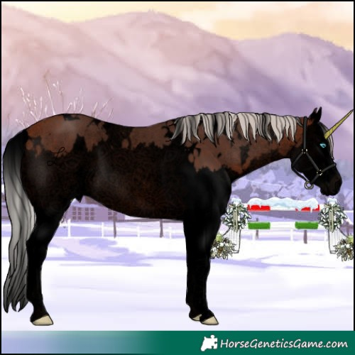 Horse Color:Void White Spotted Silver Brown Splash 