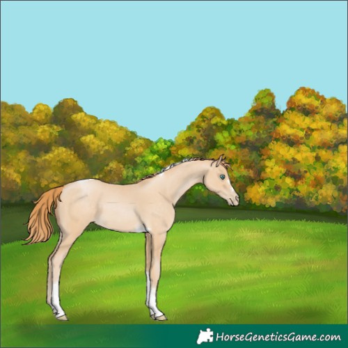 Horse Color:Smoky Black Pearl Tobiano
