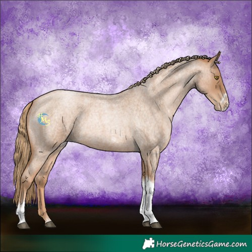 Horse Color:Red Roan Pearl Tobiano Frame 