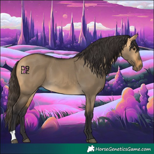 Horse Color:Buckskin Dun 