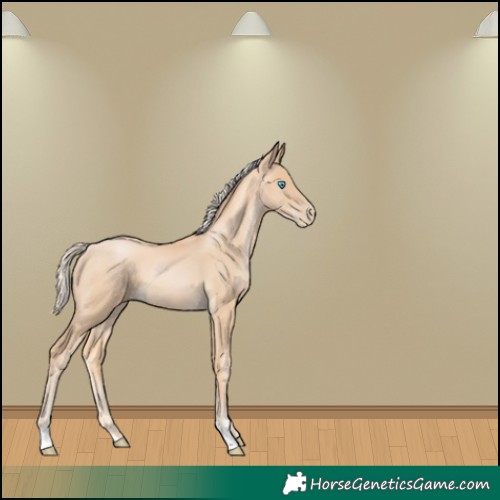 Horse Color:Palomino Pearl