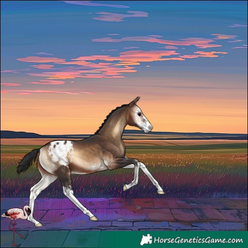 Horse Color:Brown Onyx Sabino Varnish 