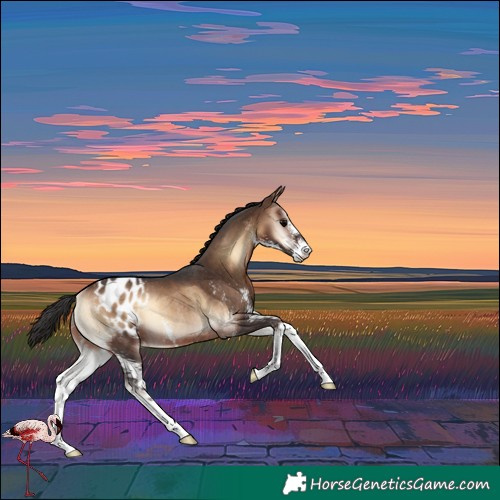 Horse Color:Brown Onyx Sabino Varnish Rabicano