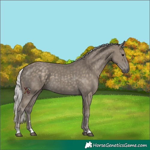 Horse Color:Silver Smoky Black