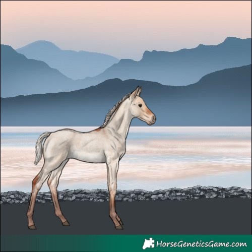 Horse Color:Chocolate Silver Bay Roan Dun 