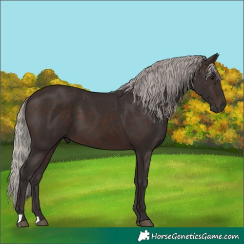 Horse Color:Silver Brown