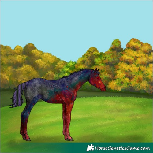 Horse Color:ERROR: UNKNOWN ANOMALY