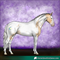 Horse Color:Gray Silver Amber Cream Champagne Roan Dun Splash Tobiano Frame Blanket Rabicano 
