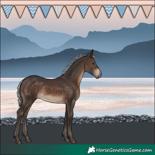 Horse Color:Silver Brown